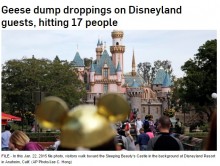 【海外発！Breaking News】米ディズニーランドで大きな悲鳴　群れなして飛ぶ雁の糞が降り注ぐ！