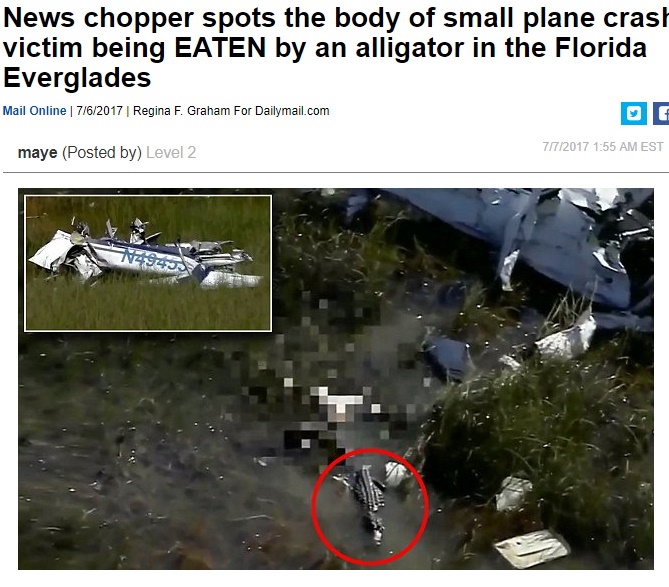 小型飛行機がフロリダの沼地に墜落、ワニがパイロットを…（画像は『Long Room　2017年7月6日付「News chopper spots the body of small plane crash victim being EATEN by an alligator in the Florida Everglades」』のスクリーンショット）