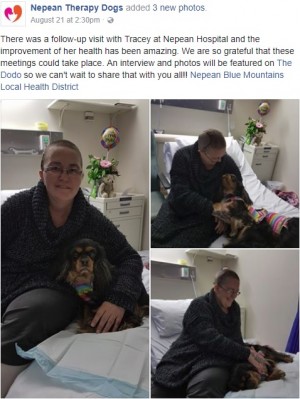 【海外発！Breaking News】手術を終えた女性患者の心を癒すセラピー犬（豪）