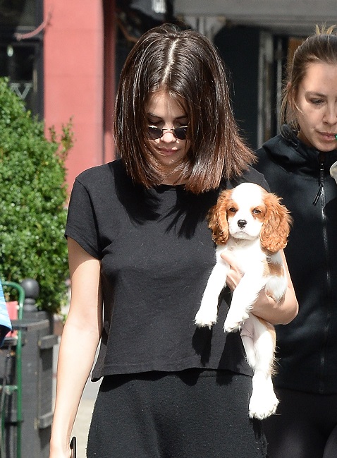 セレーナ・ゴメスただいまキュートな子犬に夢中