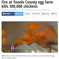 【海外発！Breaking News】ニワトリ30万羽が死亡　米・ユタ州の養鶏場で大規模火災