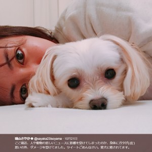 【エンタがビタミン♪】磯山さやか、ダメージで放心状態？　愛犬と過ごす姿に「思いっきり癒されてね」