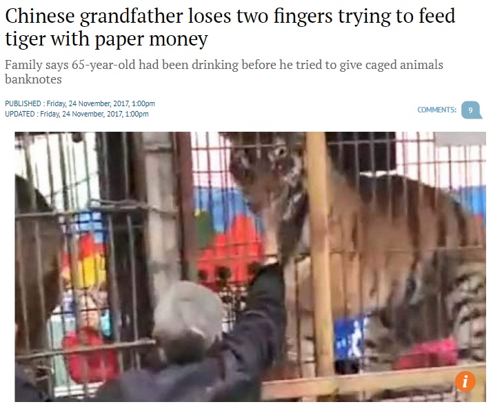 チップをあげようとした男性、トラに指を食いちぎられる（画像は『South China Morning Post　2017年11月24日付「Chinese grandfather loses two fingers trying to feed tiger with paper money」』のスクリーンショット）