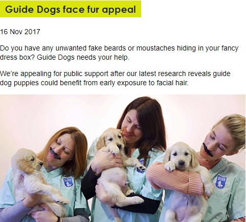 子犬のうちにシッカリとしつけを！（画像は『Guide Dogs　2017年11月16日付「Guide Dogs face fur appeal」』のスクリーンショット）