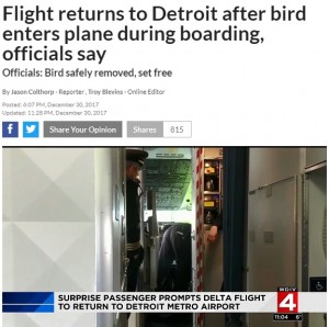 【海外発！Breaking News】コックピットでバサバサ、ウロチョロ…1羽の小鳥にデルタ航空機が引き返す