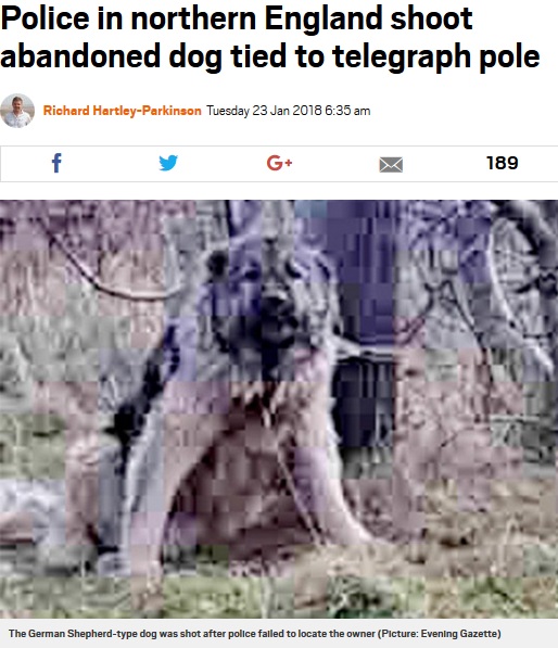 飼い主に捨てられた犬を警察官が射殺（画像は『Metro　2018年1月23日付「Police in northern England shoot abandoned dog tied to telegraph pole」（Picture: Evening Gazette）』のスクリーンショット）