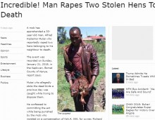 【海外発！Breaking News】隣家のニワトリを盗み強姦して死なせる　33歳男を逮捕（ケニア）