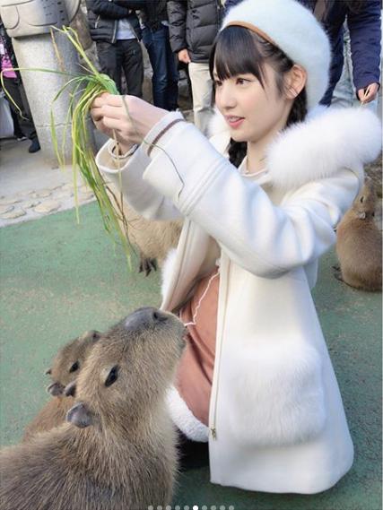 カピバラにエサをあげる道重さゆみ（画像は『道重さゆみ　2017年12月30日付Instagram「カピバラ可愛い～」』のスクリーンショット）