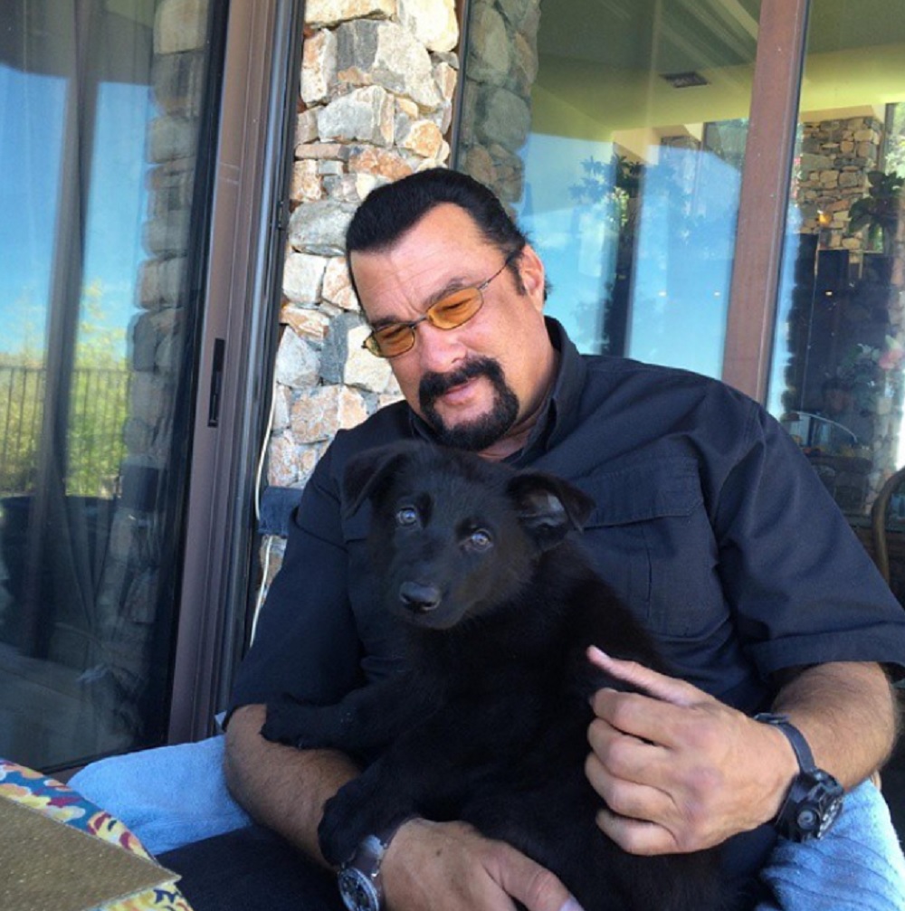 セガールに強制性交の疑いも（画像は『Steven Seagal Official　2015年6月30日Instagram』のスクリーンショット）