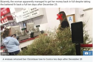 【海外発！Breaking News】コストコへ枯れたクリスマスツリーを持ち込み返金を求めた女性が物議（米）