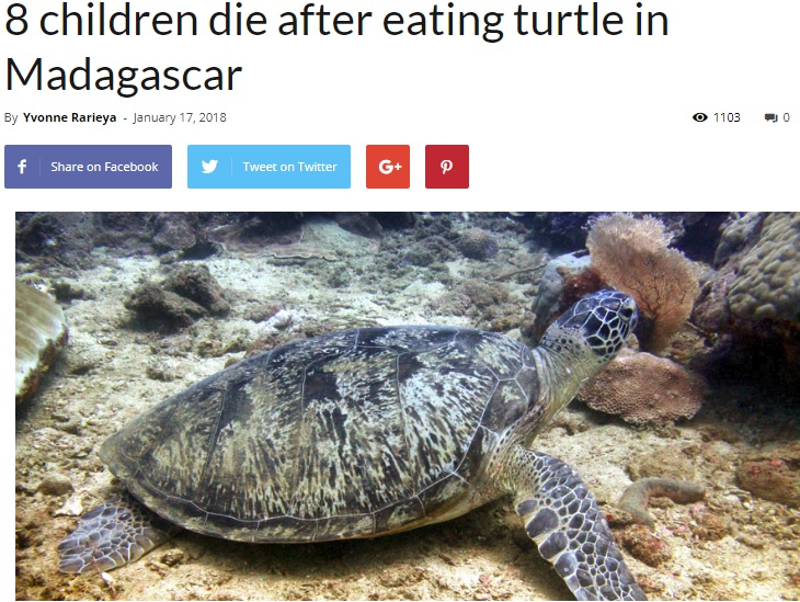 ウミガメを食すと死の危険が（画像は『CGTN Africa　2018年1月17日付「8 children die after eating turtle in Madagascar」』のスクリーンショット）