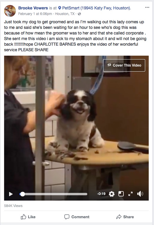 トリマーの犬に対する扱いが酷い…（画像は『Brooke Vowers　2018年2月1日付Facebook「Just took my dog to get groomed and as I’m walking out this lady comes up to me and said she’s been waiting for an hour to see who’s dog this was because of how mean the groomer was to her and that she called corporate.」』のスクリーンショット）