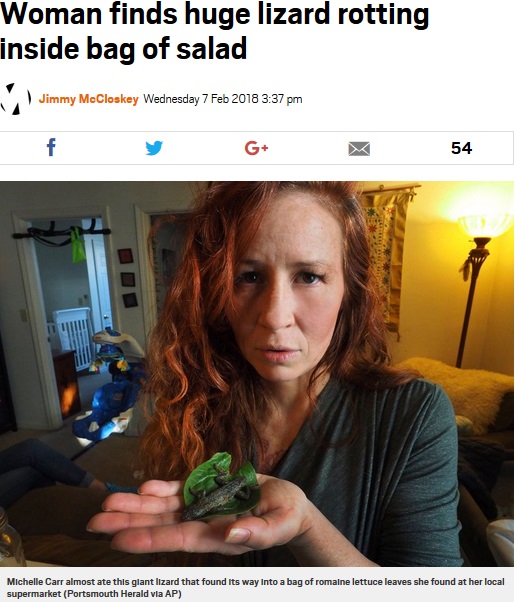 サラダの中にトカゲの死骸が！（画像は『Metro　2018年2月7日付「Woman finds huge lizard rotting inside bag of salad」（Portsmouth Herald via AP）』のスクリーンショット）