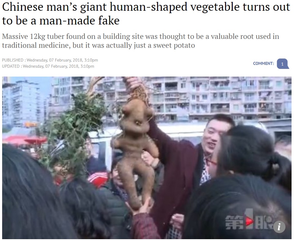 乳児のような形の野菜（画像は『South China Morning Post　2018年2月7日付「Chinese man’s giant human-shaped vegetable turns out to be a man-made fake」（Photo: Cq.qq.com）』のスクリーンショット）