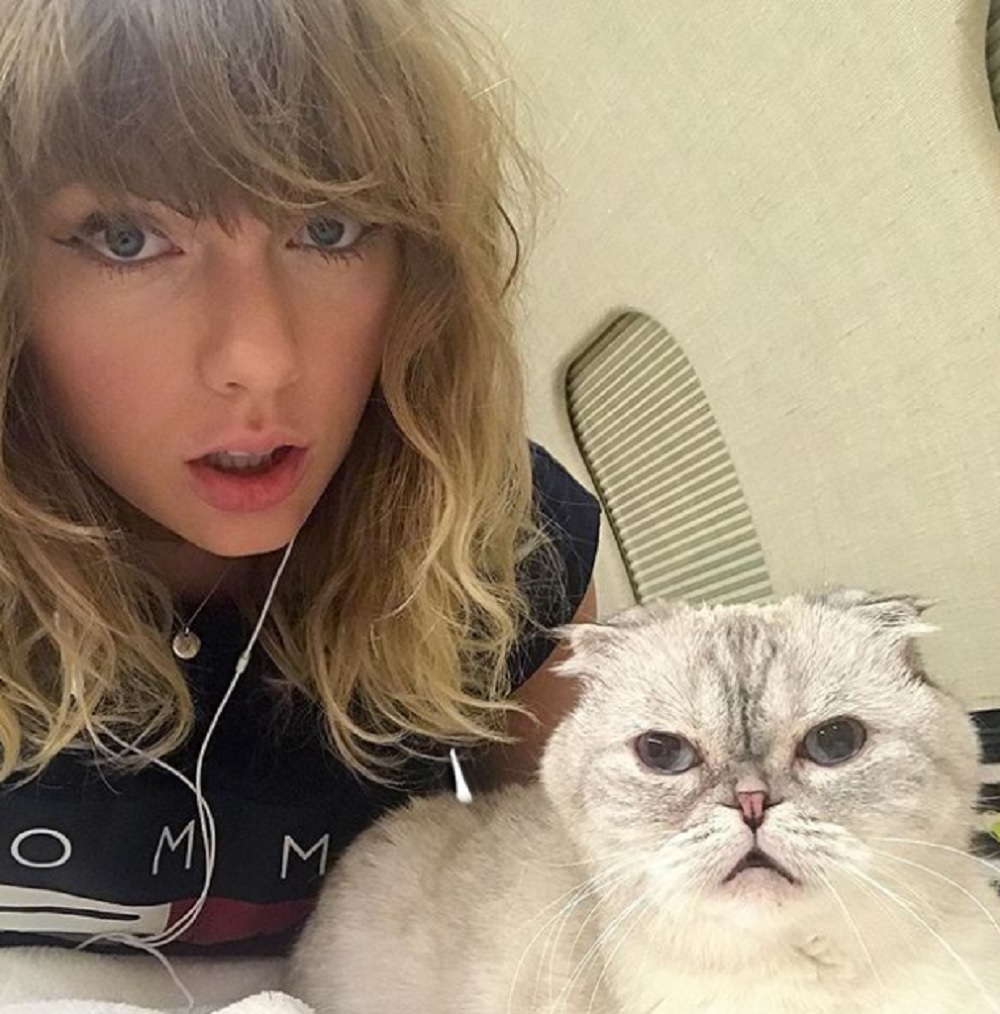 テイラー、隣人らと折り合いはつけられそう？（画像は『Taylor Swift　2017年11月10日付Instagram「Waiting for ＃reputation like...」』のスクリーンショット）