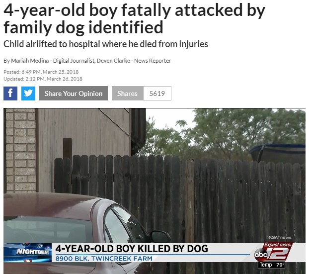 大型犬に噛みつかれた幼児が死亡（画像は『KSAT.com　2018年3月26日付「4-year-old boy fatally attacked by family dog identified」』のスクリーンショット）