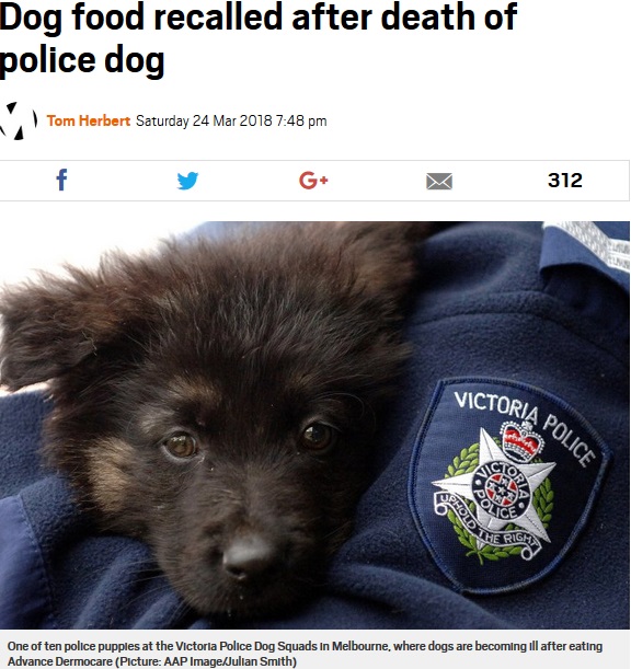 警察犬や飼い犬が次々と「巨大食道症」に（画像は『Metro　2018年3月24日付「Dog food recalled after death of police dog」（Picture: AAP Image/Julian Smith）』のスクリーンショット）