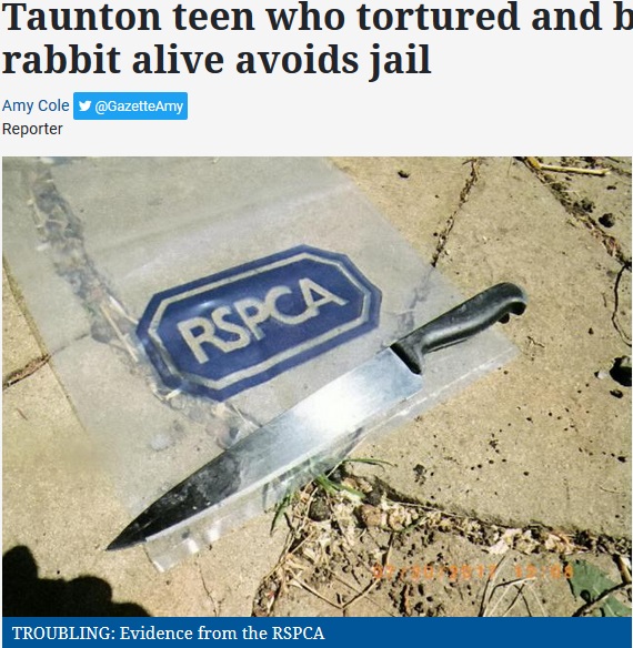 ウサギを惨殺した10代2人、実刑を免れる（画像は『Somerset County Gazette　2018年3月11日付「Taunton teen who tortured and burned pet rabbit alive avoids jail」（Picture: SWNS）』のスクリーンショット）