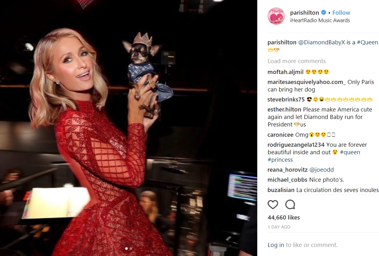 愛犬“ダイアモンド・ベイビー”とパリス（画像は『Paris Hilton　2018年3月13日付Instagram「＠DiamondBabyX is a ＃Queen」』のスクリーンショット）