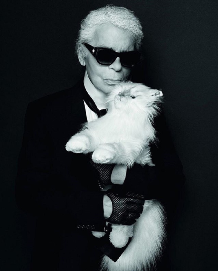 ラガーフェルド氏「何十年も前のことを今更…」（画像は『KARL LAGERFELD　2017年4月29日付Instagram「The world’s most famous feline is getting her own limited edition plush toy modeled after her by ＃KARLLAGERFELD in collaboration with ＠steiff.de」』のスクリーンショット）