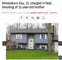【海外発！Breaking News】13歳兄、祖父宅から盗んだ拳銃で11歳弟を射殺（米）