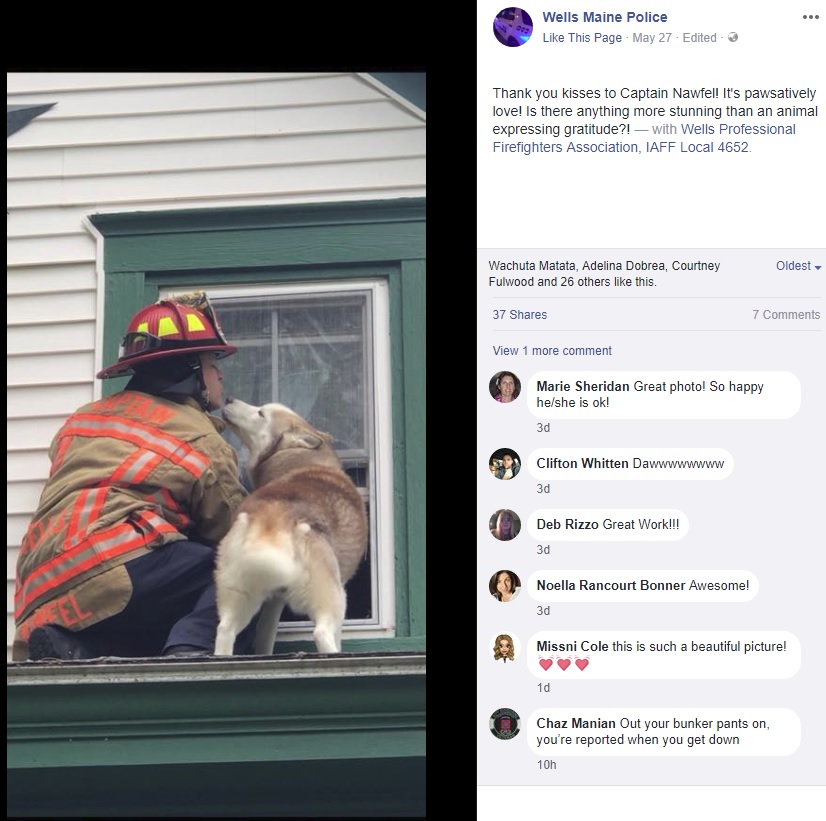 消防隊員にキスする犬（画像は『Wells Maine Police　2018年5月27日付Facebook「Thank you kisses to Captain Nawfel!」』のスクリーンショット）