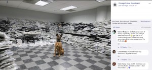 【海外発！Breaking News】警察犬が嗅ぎ当てお手柄　11億円相当の大麻が押収される（米）