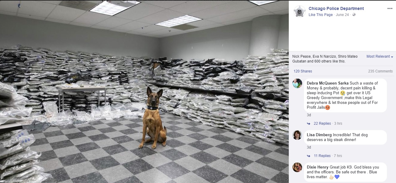 11億円相当の大麻を発見した警察犬（画像は『Chicago Police Department　2018年6月24日付Facebook「Chicago Police Officers assigned to the Narcotics Unit conducted a narcotics investigation which led to a traffic stop of a vehicle suspected in narcotics trafficking.」』のスクリーンショット）