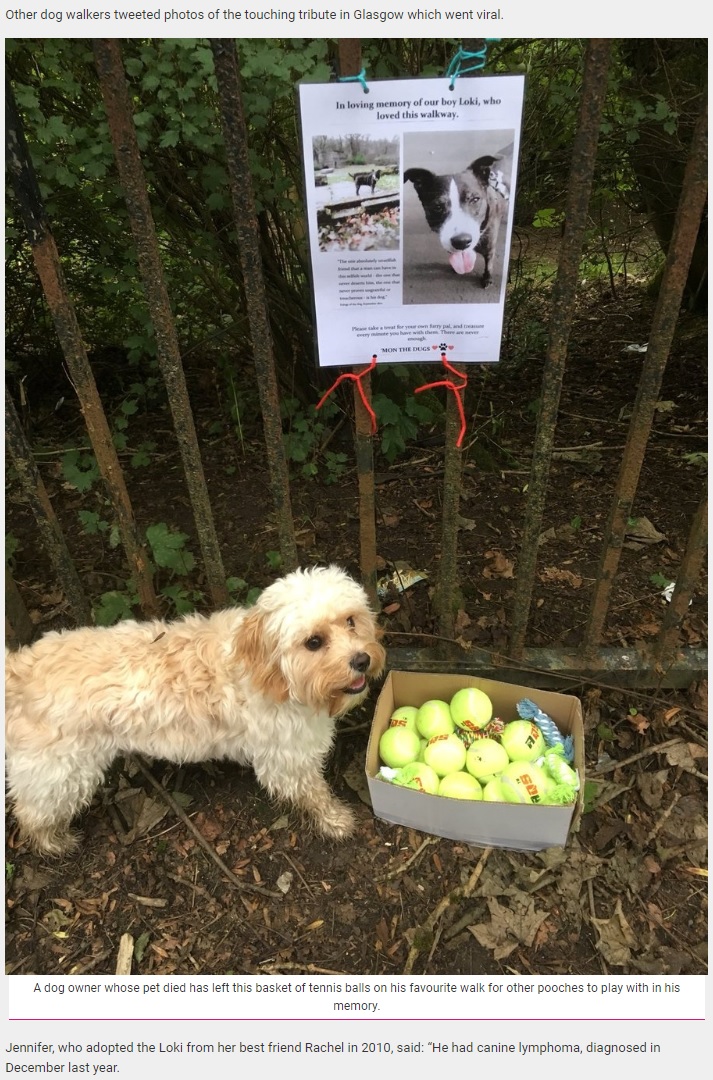 亡き愛犬が好きだった散歩道にテニスボールを置いた飼い主（画像は『real fix　2018年8月16日付「Dog Owner Whose Pet Died Has Left Basket Of Tennis Balls On His Favourite Walk For Other Pooches To Play With In His Memory」』のスクリーンショット）