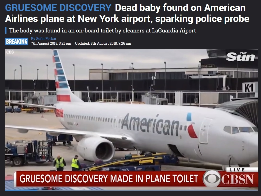 駐機中のアメリカン航空機トイレで胎児の遺体発見（画像は『The Sun　2018年8月8日付「GRUESOME DISCOVERY Dead baby found on American Airlines plane at New York airport, sparking police probe」』のスクリーンショット）