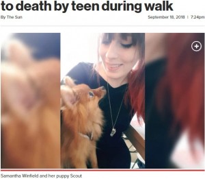 【海外発！Breaking News】ポメラニアンの子犬、散歩中に10代少年グループに蹴り殺される（英）