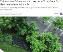 【海外発！Breaking News】妊娠中の妻と口論になった夫、21階窓からペットの犬猫を投げ捨てる（中国）