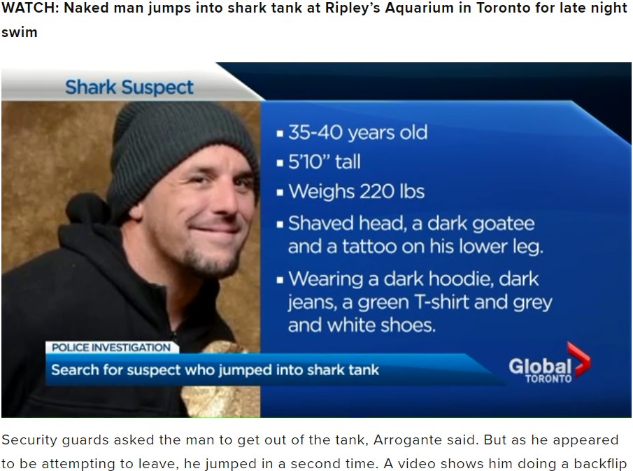 水族館のサメの水槽に裸で飛び込んだ男（画像は『Global News　2018年10月17日付「Man wanted for assault, swimming naked in Toronto aquarium shark tank arrested: police」』のスクリーンショット）