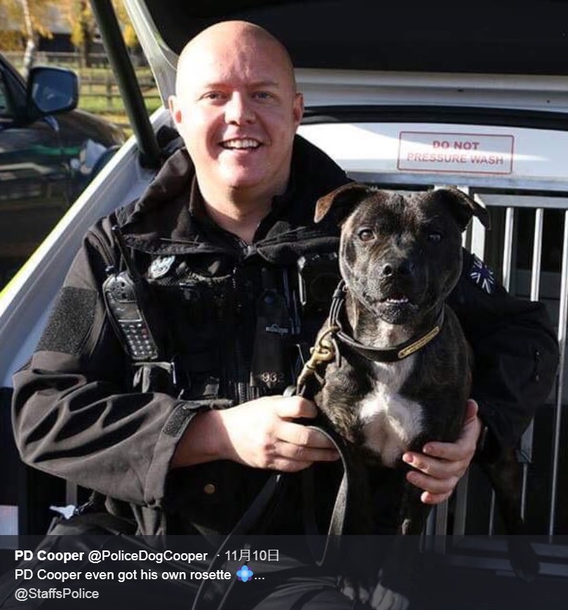 救助された犬、優秀な探知犬に（画像は『PD Cooper　2018年11月10日付Twitter「PD Cooper even got his own rosette」』のスクリーンショット）