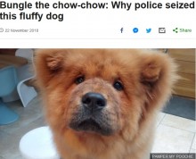【海外発！Breaking News】警官に噛みつき拘留された子犬、無事に飼い主のもとへ戻される（英）