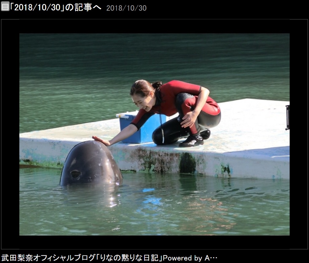 クジラと触れ合うトレーナー・白石唯役の武田梨奈（画像は『武田梨奈　2018年10月30日付オフィシャルブログ「2018/10/30」』のスクリーンショット）