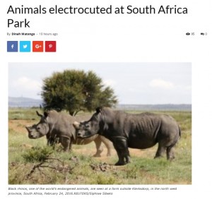 【海外発！Breaking News】国立公園で送電鉄塔が倒れ、野生動物6頭が感電死（南ア）