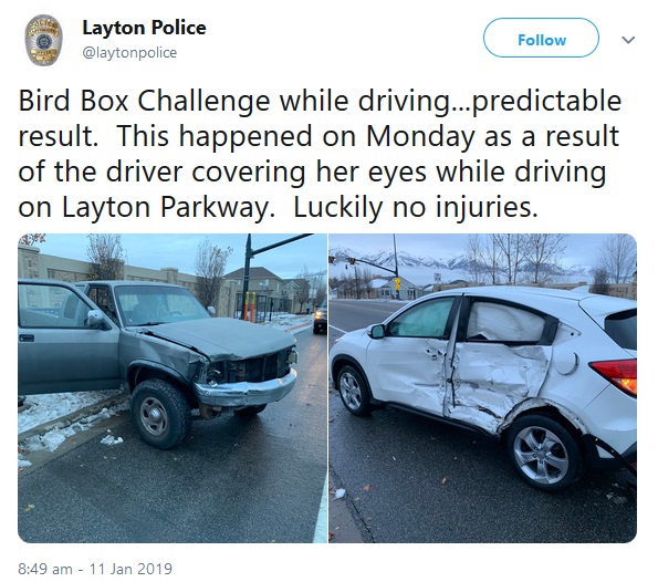 「バード・ボックス」チャレンジで目隠し運転の末に衝突事故（画像は『Layton Police　2019年1月11日付Twitter「Bird Box Challenge while driving...predictable result.」』のスクリーンショット）