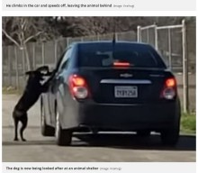 【海外発！Breaking News】すがりつく犬を振り払い置きざりにした飼い主（米）＜動画あり＞