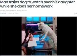 【海外発！Breaking News】スマホに夢中の少女を宿題に集中するように監視し続ける犬（中国）＜動画あり＞