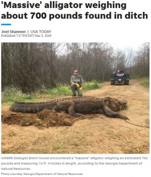 【海外発！Breaking News】全長4m、体重318kgのワニの写真　巨大すぎてフェイク説浮上も「本物」（米）