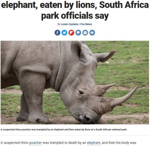 【海外発！Breaking News】サイの密猟者、象に踏み殺された後ライオンの餌食となる（南ア）