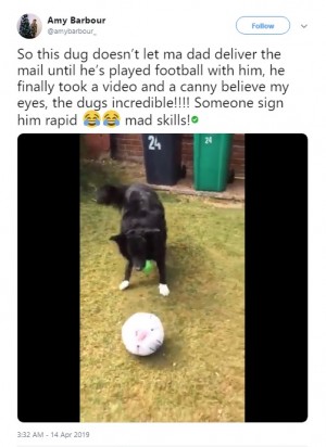 【海外発！Breaking News】郵便配達人に「サッカー対決」をねだる犬（スコットランド）＜動画あり＞