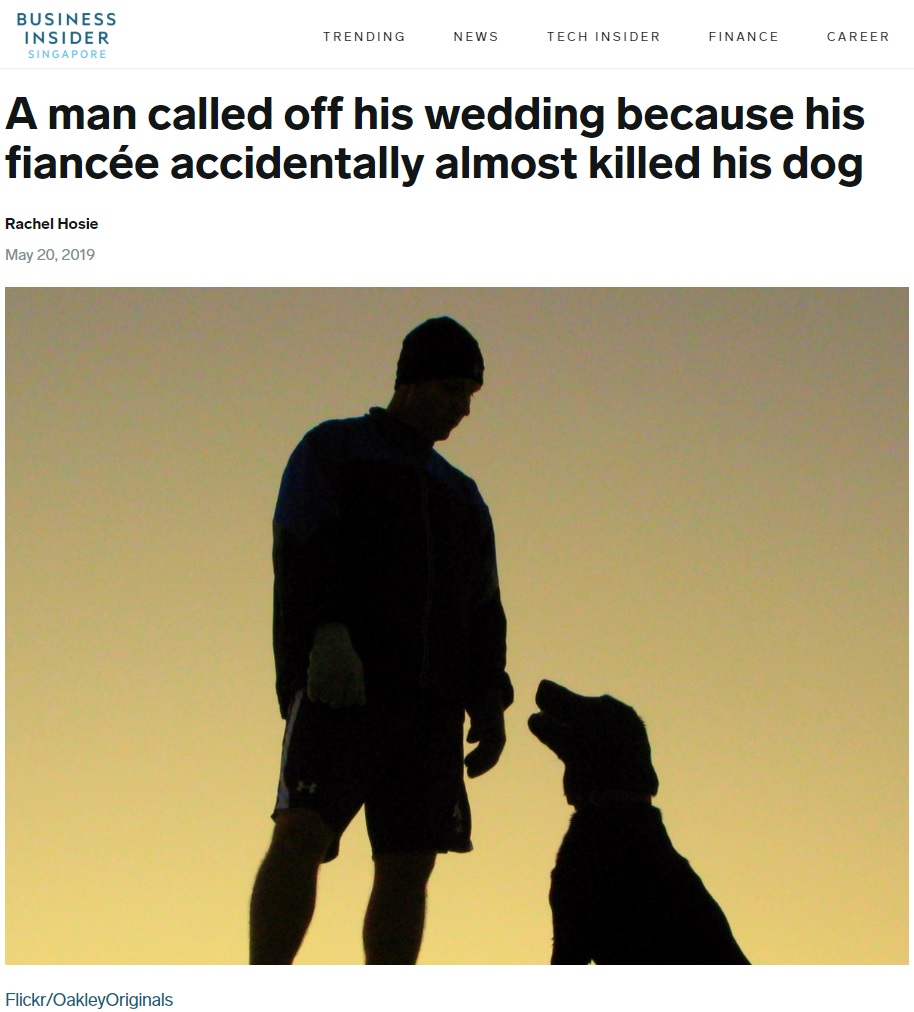 独身最後のパーティーが原因で婚約破棄されることに（画像は『Business Insider Singapore　2019年5月20日付「A man called off his wedding because his fiancée accidentally almost killed his dog」（Flickr/OakleyOriginals）』のスクリーンショット）