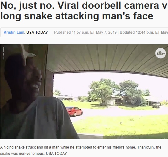 玄関先でヘビに襲われた男性（画像は『USA TODAY　2019年5月7日付「No, just no. Viral doorbell camera video shows 5-foot-long snake attacking man’s face」』のスクリーンショット）