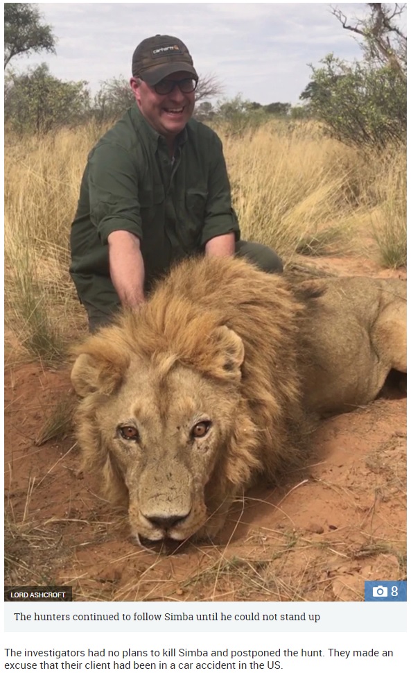 射止めたライオンの前で写真を撮るハンター（画像は『The Sun　2019年4月30日付「LIONS, RICH AND A LORD’S PROBE Barbaric scandal of lions bred to be shot as Tory peer calls for UK ban on import of captive lions」（Credit: LORD ASHCROFT）』のスクリーンショット）