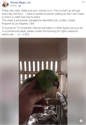 【海外発！Breaking News】ペットケージから幼児の泣き声が…「監禁!?」と誤解を招くインコ（米）＜動画あり＞