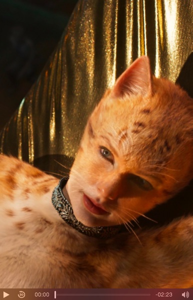 「私は猫になったの」とテイラー・スウィフト（画像は『Taylor Swift　2019年7月18日付Instagram「I am a cat now and somehow that was everything」』のスクリーンショット）