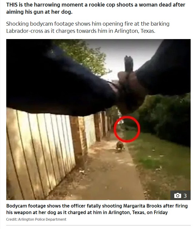 新人警察官の発砲で市民が犠牲に（画像は『The Sun　2019年8月4日付「STRAY BULLET HORROR Shocking moment rookie cop kills woman after trying to shoot her dog as it charged at him」（Credit: ARLINGTON POLICE DEPARTMENT）』のスクリーンショット）