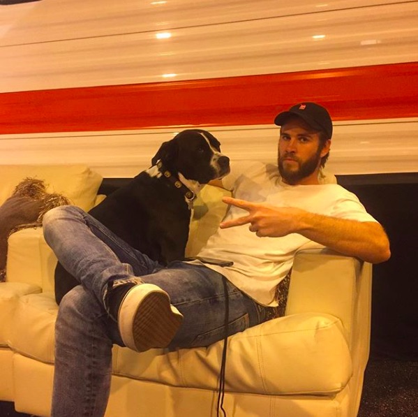 マイリーと大切に育てていた犬も手放すことになったリアム（画像は『Liam Hemsworth　2016年8月12日付Instagram「Me and Mary Jane chillllllllin...」』のスクリーンショット）